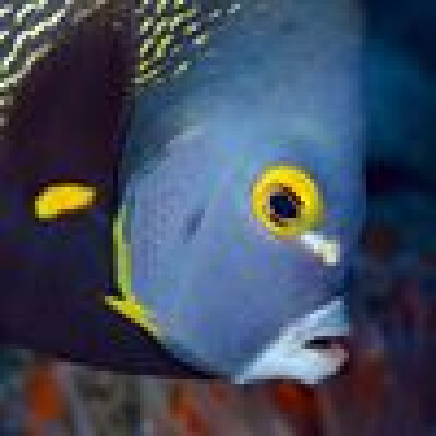 Olivier is looking for a Room / Studio in Haarlem